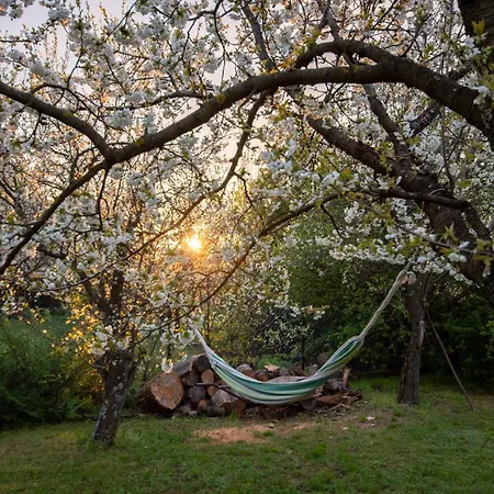 Holiday home Sunny Zanka